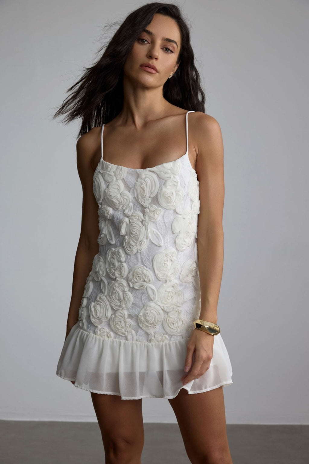 Beverly Floral Chiffon Mini Dress
